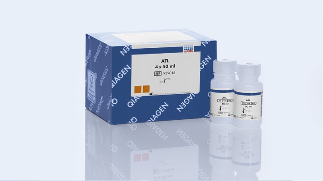 Лизирующий буфер ATL